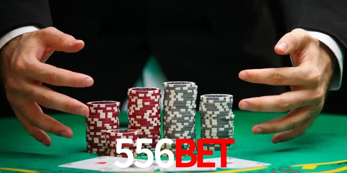 cassino 556bet